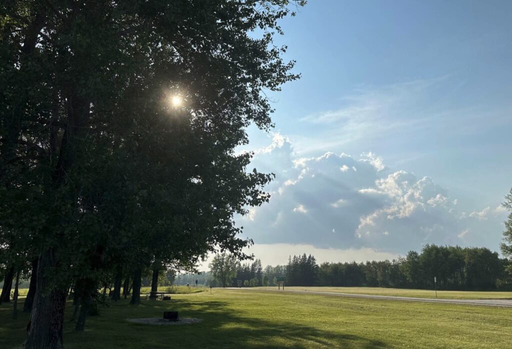 Sunny day at a park with tall trees lining a grassy field, a distant road, and coniferous forest under a partly cloudy sky