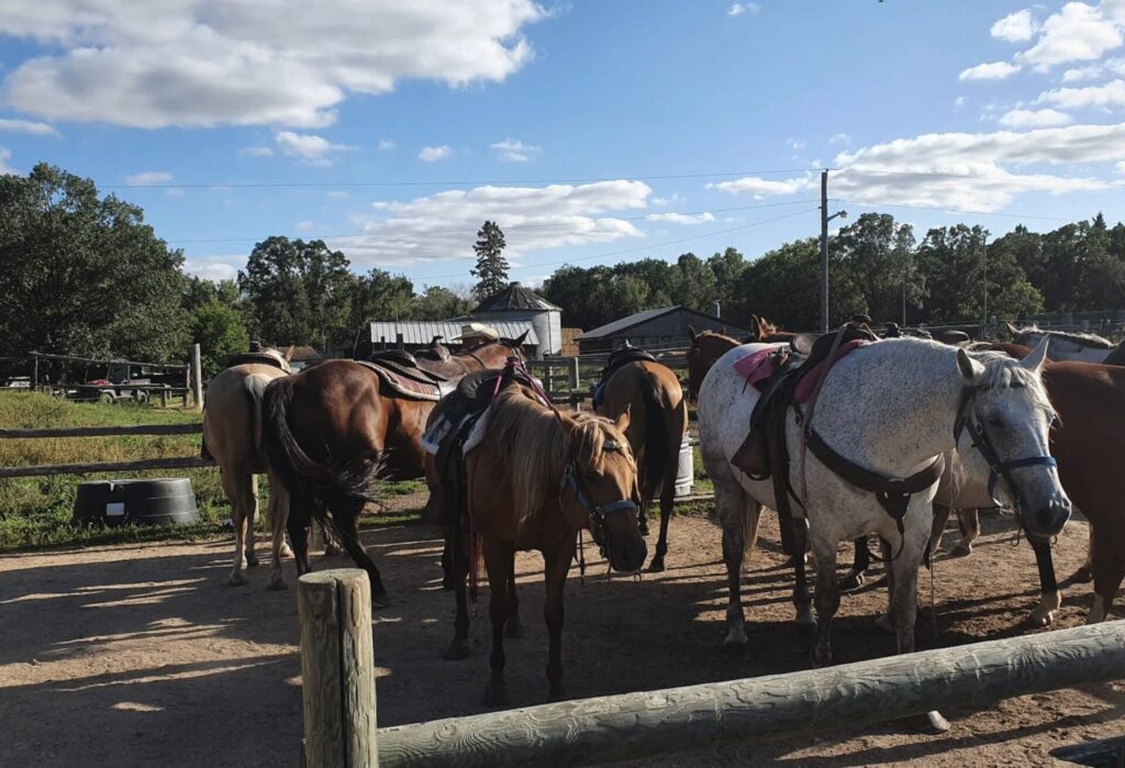 Saddled horses standing in a ranch corral with wooden fences, farm buildings, and trees under a partly cloudy sky