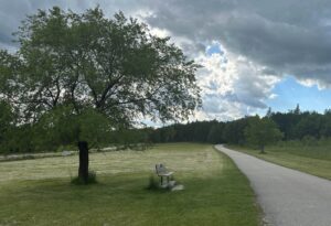 A curved paved pathway winds through a grassy park with a large leafy tree on the left, a wooden bench beneath it, coniferous forest in the background, and partly cloudy sky above