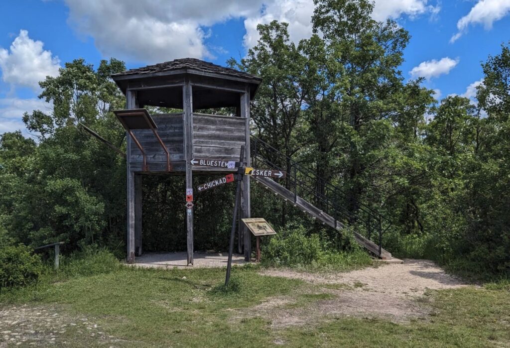 Wooden observation tower with directional signs pointing to Bluestem, Chickadee, and Esker trails, surrounded by green forest and blue sky