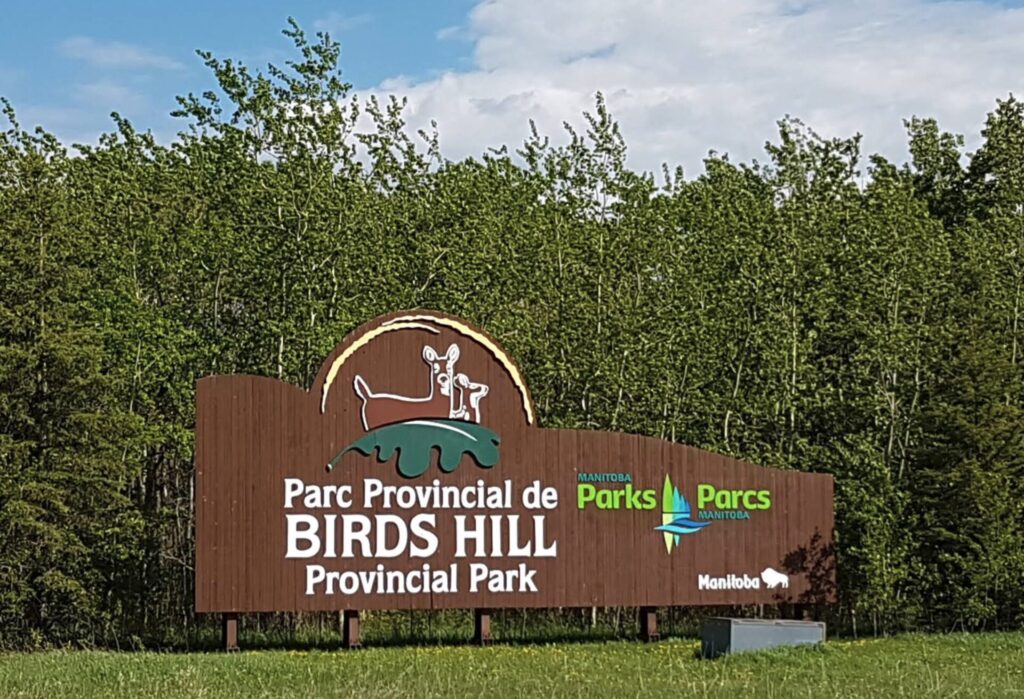 Entrance sign for Birds Hill Provincial Park, featuring a deer illustration and Manitoba Parks logo, with aspen forest in the background