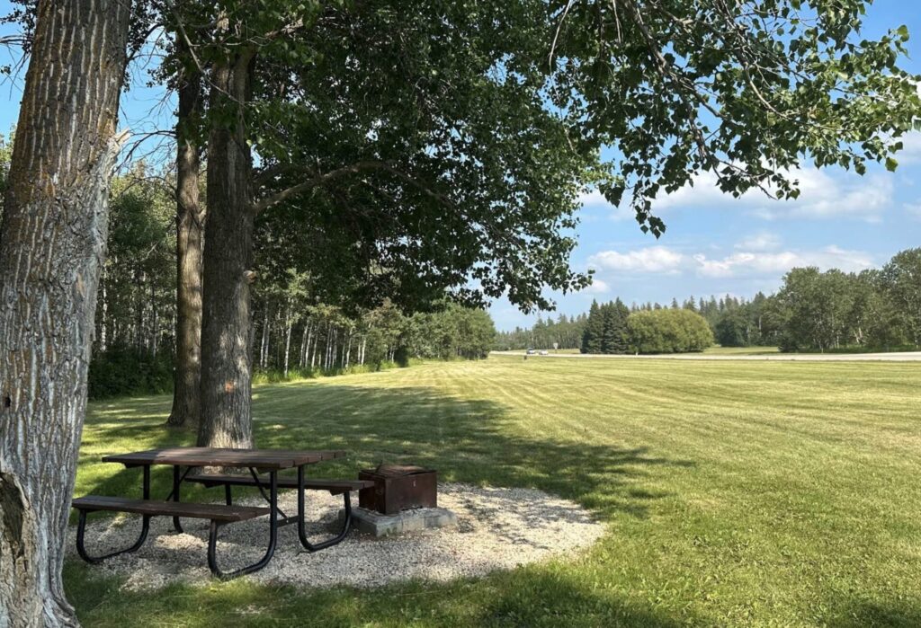 Picnic table and fire pit beneath tall trees beside an open grassy field with forest in the distance under blue sky