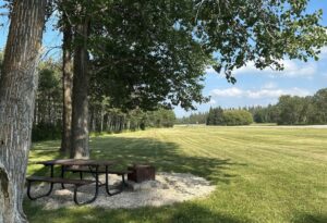 Picnic table and fire pit beneath tall trees beside an open grassy field with forest in the distance under blue sky