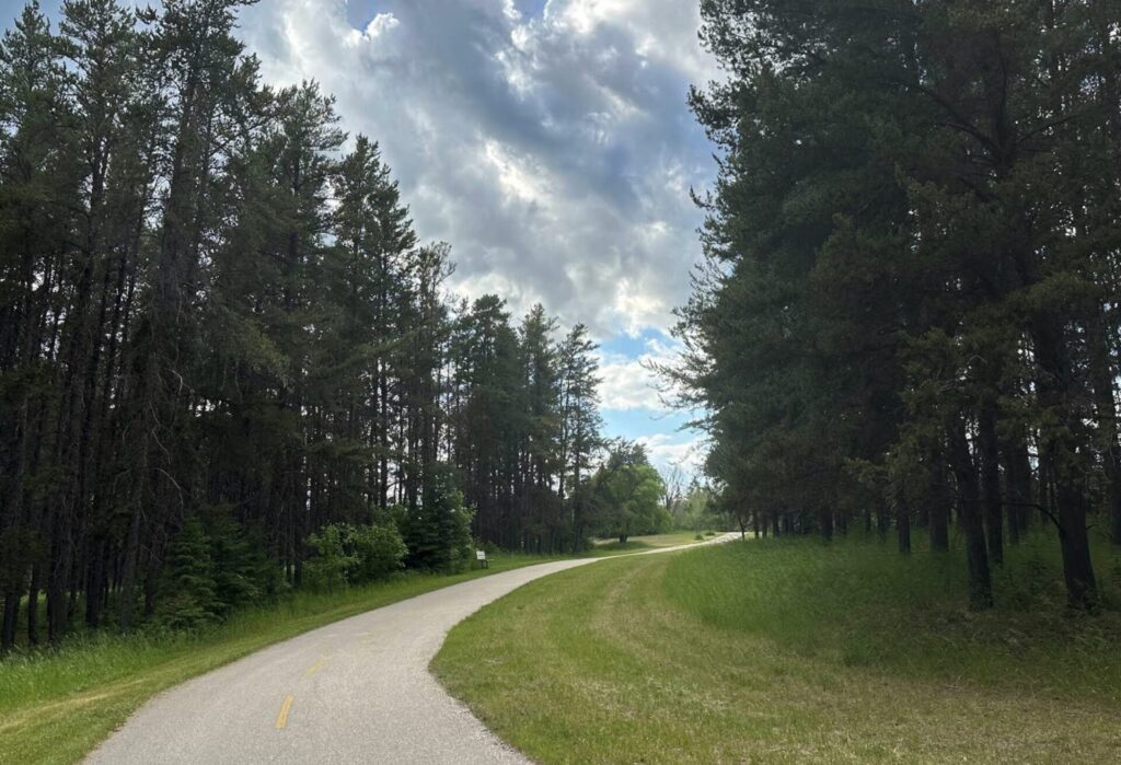 Curved rural road lined with tall coniferous trees, green grass verges, and partly cloudy sky
