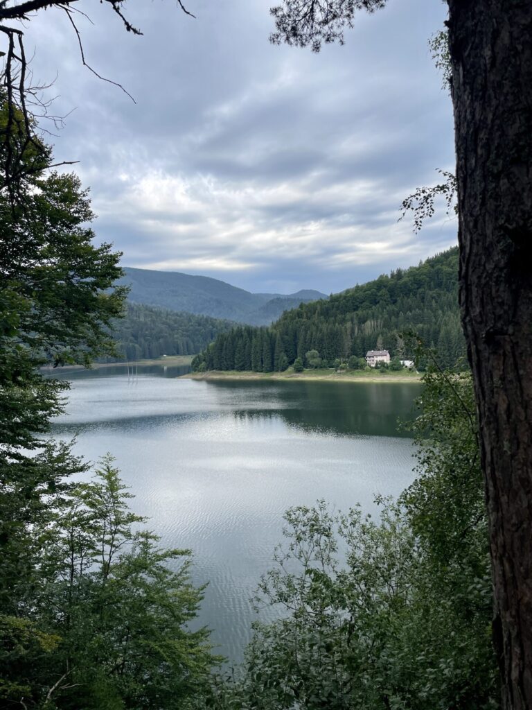 A calm lake surrounded by dense coniferous forest and mountains under a cloudy sky, with a small building visible on the far shoreline