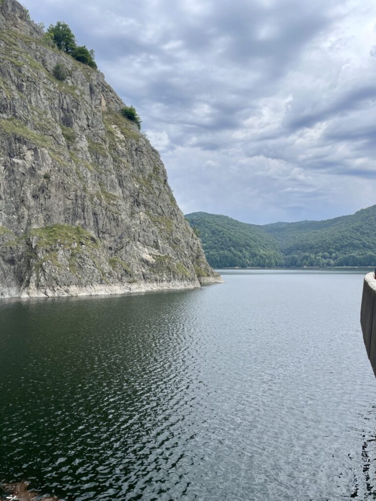Steep limestone cliff with moss and vegetation rising from a calm lake, forested hills visible across the water under a cloudy sky