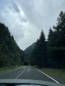 Road stretching through a forested mountain valley with coniferous trees lining both sides, a tunnel visible ahead, and overcast sky above
