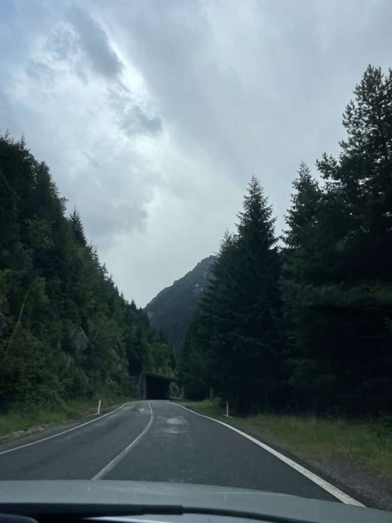Road stretching through a forested mountain valley with coniferous trees lining both sides, a tunnel visible ahead, and overcast sky above