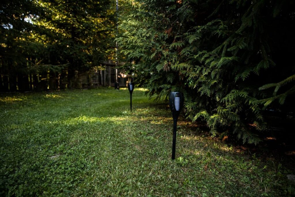 Solar pathway light illuminating a garden at dusk, surrounded by evergreen shrubs and lawn
