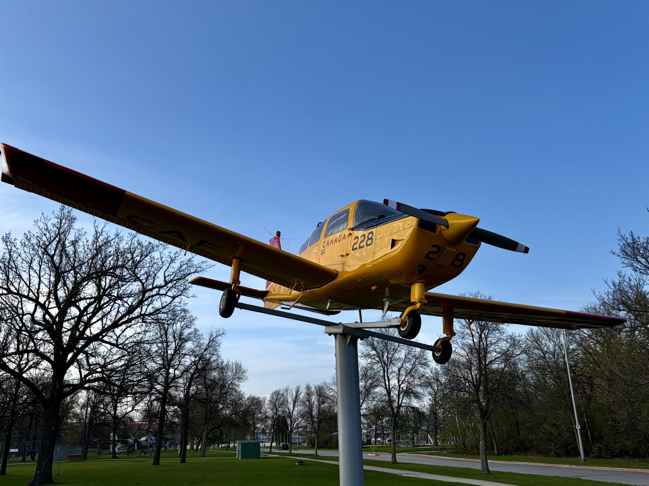 Yellow and black aircraft numbered 228 mounted on a pole in a park, with bare trees and clear blue sky in the background