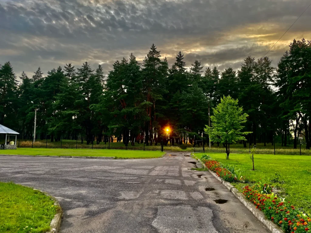 Driveway leading through a park with tall coniferous trees, green lawn, red and orange flower beds, and a street light glowing against a dramatic cloudy sky at dusk