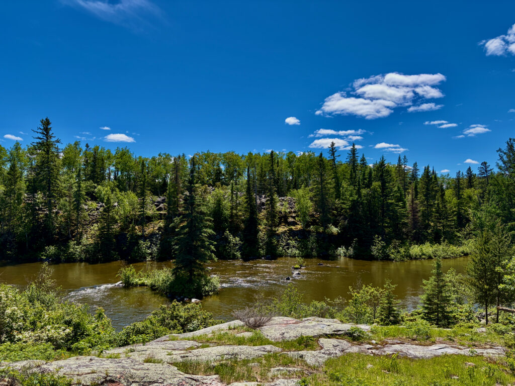 River flowing through a boreal forest landscape with coniferous and deciduous trees under a clear blue sky with white clouds