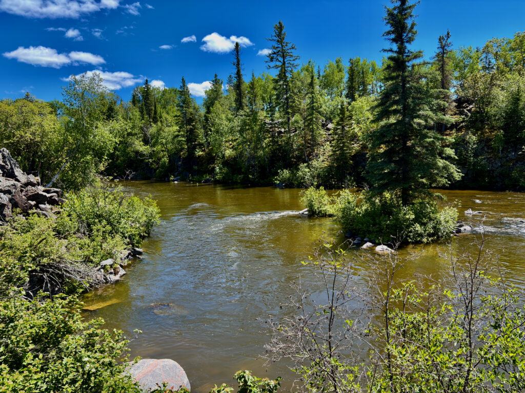 River flowing through boreal forest with coniferous and deciduous trees under clear blue sky