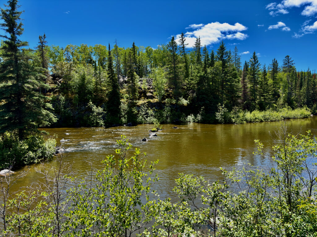 A river flowing through a boreal forest landscape with coniferous and deciduous trees under a clear blue sky with white clouds
