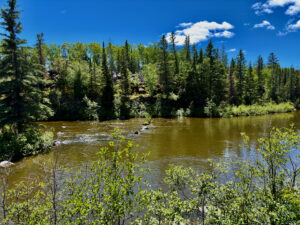 A river flowing through a boreal forest landscape with coniferous and deciduous trees under a clear blue sky with white clouds