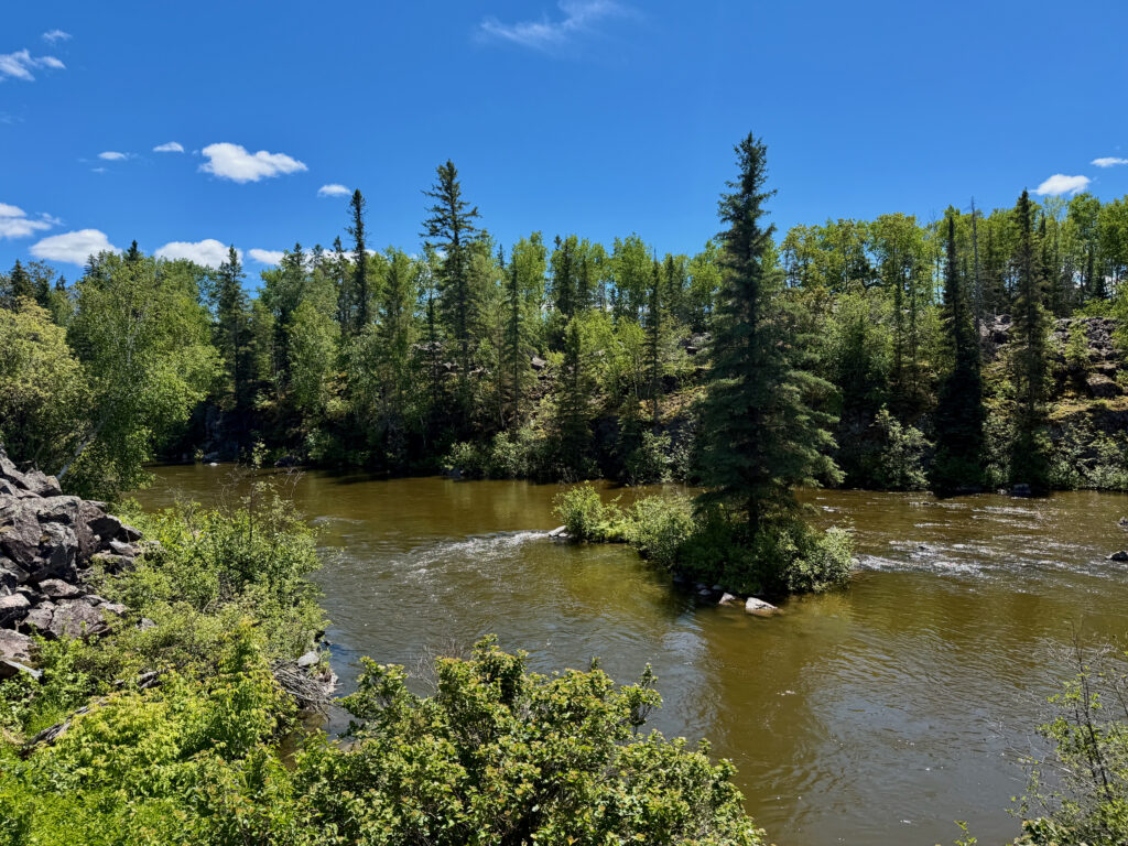 Boreal forest landscape with a river flowing through mixed coniferous and deciduous trees under a clear blue sky