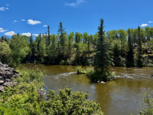 Boreal forest landscape with a river flowing through mixed coniferous and deciduous trees under a clear blue sky