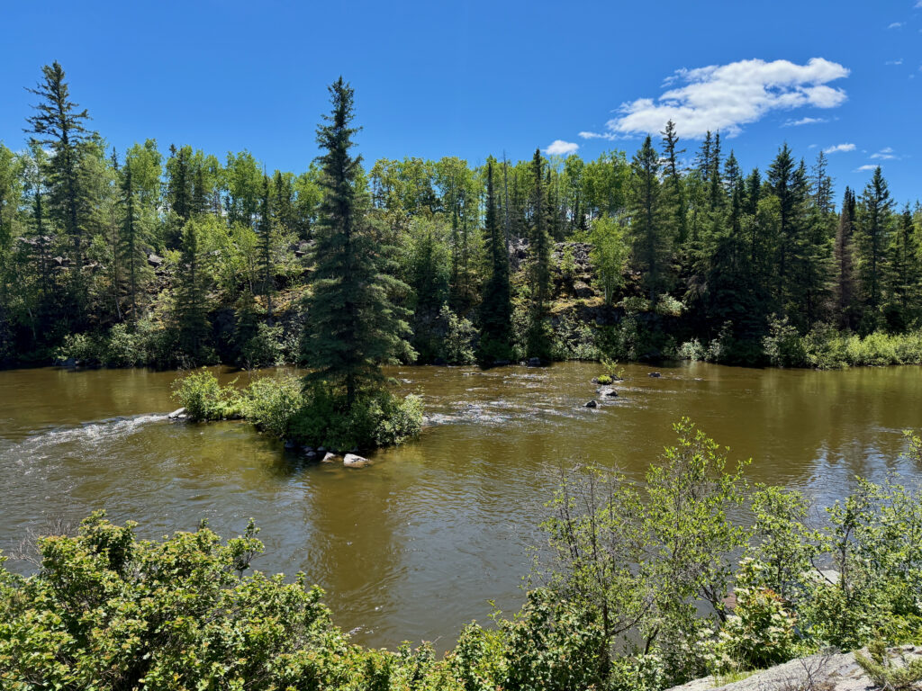 River flowing through a boreal forest landscape with coniferous and deciduous trees under a clear blue sky