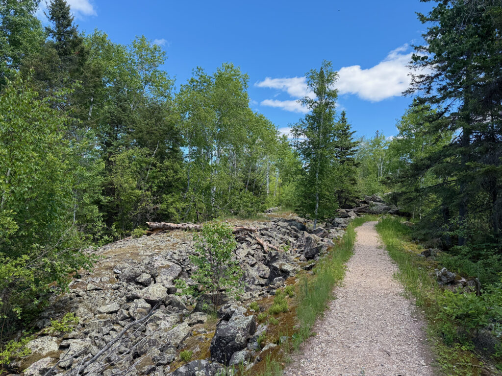 A gravel hiking trail winds through a boreal forest with birch and conifer trees, rocky outcrops, and clear blue sky overhead