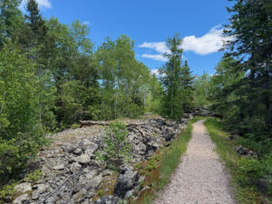 A gravel hiking trail winds through a boreal forest with birch and conifer trees, rocky outcrops, and clear blue sky overhead