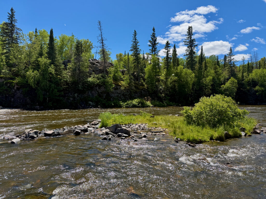 River flowing through a boreal forest landscape with coniferous and deciduous trees, rocky shoreline, and mountains visible under a blue sky with white clouds