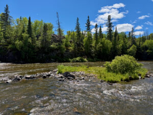 River flowing through a boreal forest landscape with coniferous and deciduous trees, rocky shoreline, and mountains visible under a blue sky with white clouds