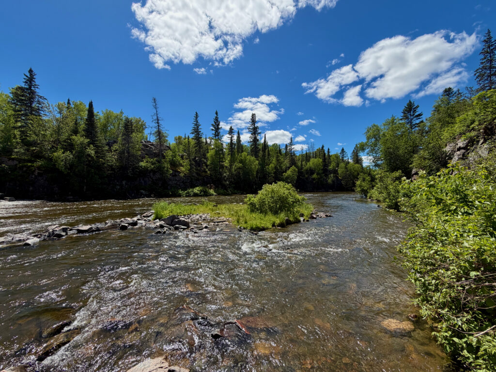 River flowing through a boreal forest landscape with coniferous and deciduous trees under a clear blue sky with white clouds