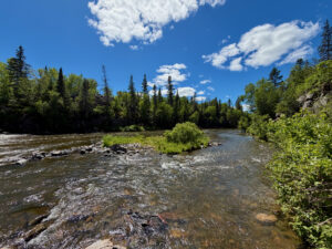 River flowing through a boreal forest landscape with coniferous and deciduous trees under a clear blue sky with white clouds
