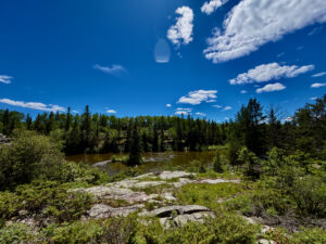 Boreal forest landscape with coniferous trees lining a river, rocky outcrop in foreground, and clear blue sky with white clouds above
