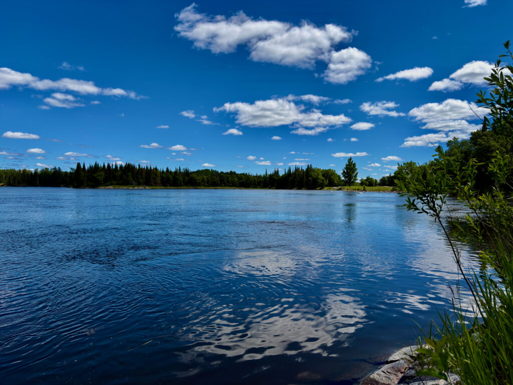Clear blue lake with coniferous forest shoreline under a partly cloudy sky, marsh grasses visible in the foreground