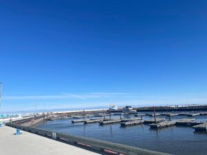 Gimli November 3