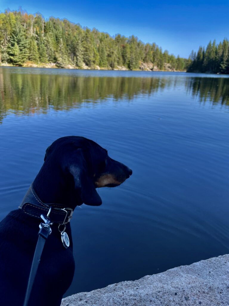 A Day Trip to Kenora and Rushing River: Crossing Into Ontario for One Perfect Saturday 34 Longbow Lake 06