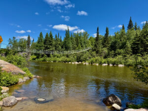 Suspension bridge spanning a river lined with coniferous and deciduous trees under a blue sky with white clouds