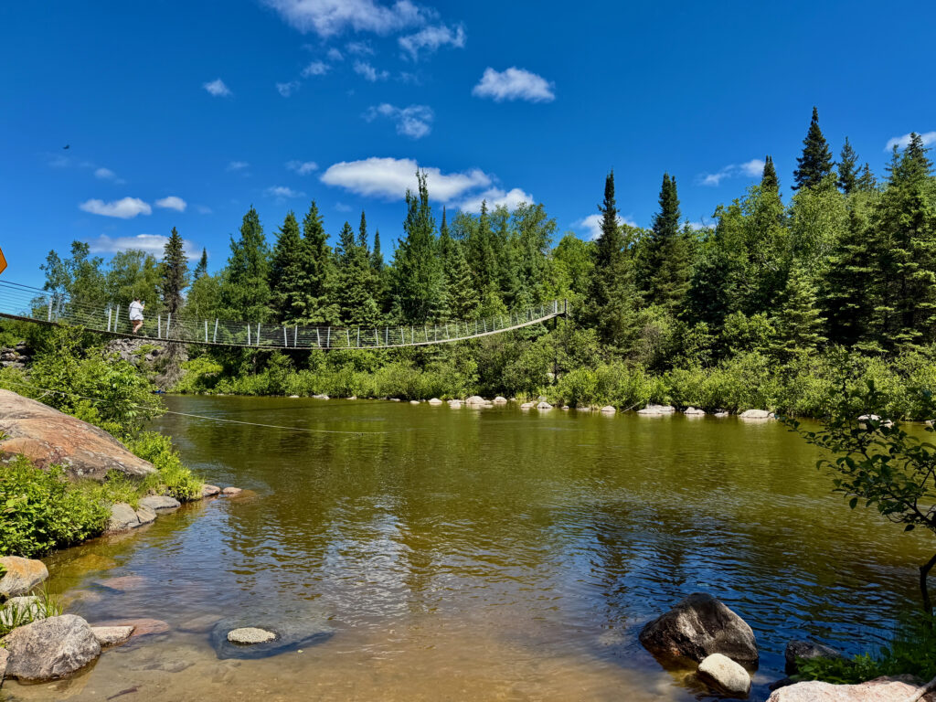 Suspension bridge spanning a river lined with coniferous and deciduous trees under a blue sky with white clouds