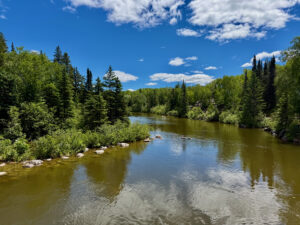 River flowing through a boreal forest landscape with coniferous and deciduous trees under a blue sky with white clouds