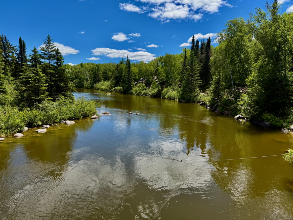 A calm river winds through a boreal forest under a blue sky with white clouds. Coniferous and birch trees line both banks, with rocks visible along the shoreline and in the shallow water