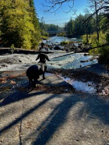 Rushing River Provincial Park 02