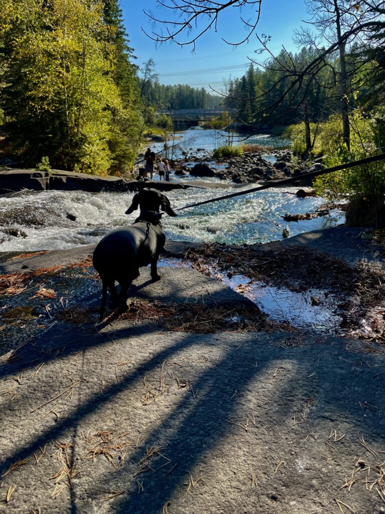 Rushing River Provincial Park 02