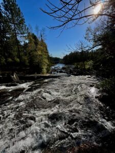 Rushing River Provincial Park 08