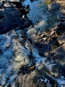 Rushing River Provincial Park 09