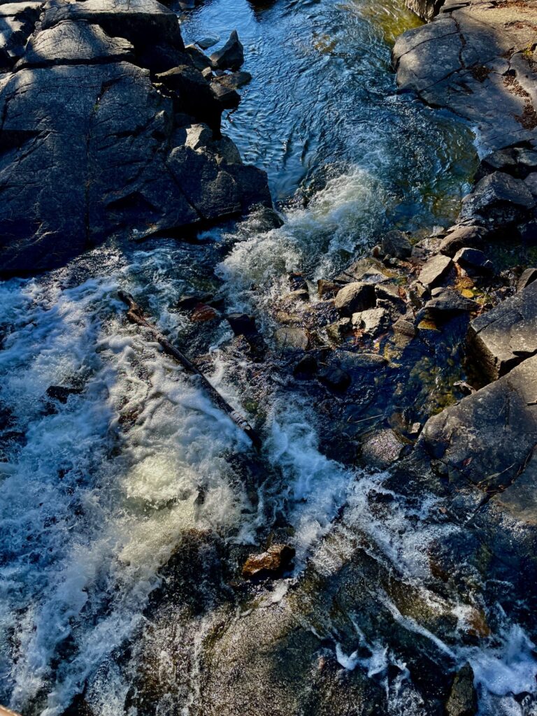 Rushing River Provincial Park 09
