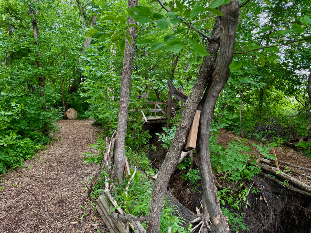Wooden boardwalk winding through dense green forest with tall trees, leading toward an open grassy area and water visible in the distance