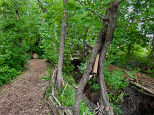 Wooden boardwalk winding through dense green forest with tall trees, leading toward an open grassy area and water visible in the distance