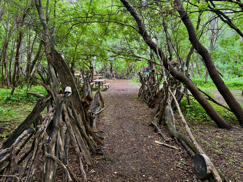 Wooded park pathway lined with gnarled tree roots and branches, leading to picnic tables and recreational areas beneath a dense green canopy
