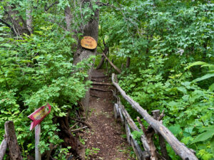 Forest trail with wooden rail fence and trail marker sign on tree trunk reading "Red River Trail