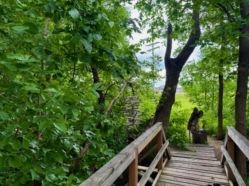 Wooden boardwalk winding through dense green forest with tall trees, leading toward an open grassy area and water visible in the distance