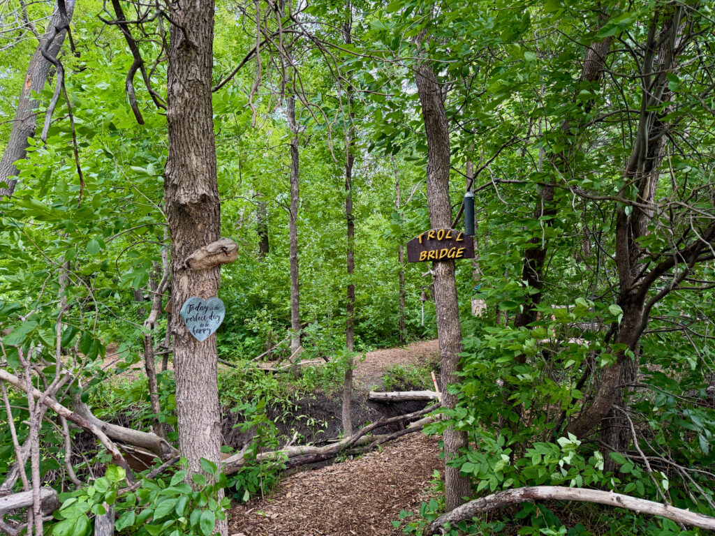 Wooden boardwalk winding through dense green forest with tall trees, leading toward an open grassy area and water visible in the distance