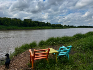 Two colourful wooden chairs facing a calm river, with a black dog on the shore, green fields and trees lining the opposite bank under a cloudy sky