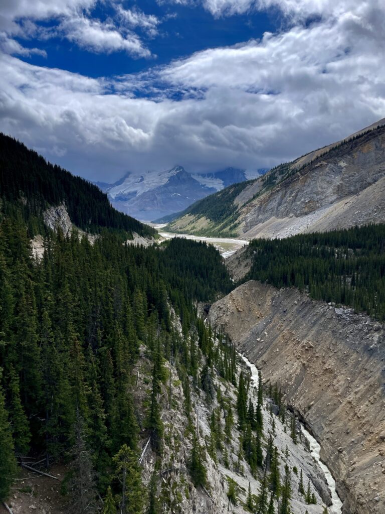 Mountain valley with coniferous forest, glacial river, and snow-capped peaks under blue sky with white clouds