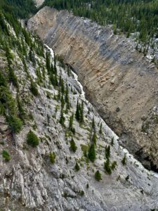Aerial view of a deep rocky canyon with stratified cliff faces, sparse coniferous trees clinging to the slopes, and a narrow stream visible at the bottom